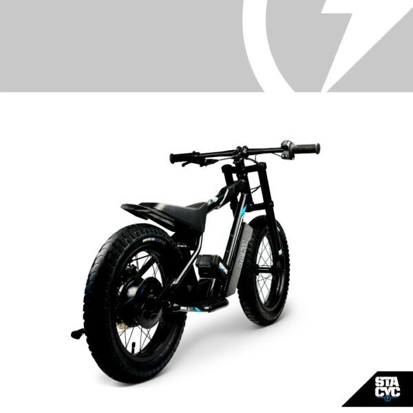 100111-16HDRIVE-Web-D STACYC 16HDRIVE tasakaaluratas