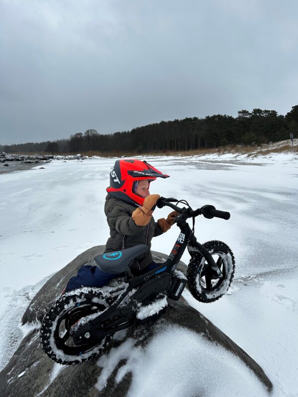 STACYC 12eDRIVE STACYC 12eDRIVE