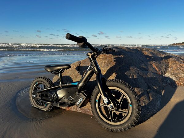 STACYC 12eDRIVE STACYC 12eDRIVE