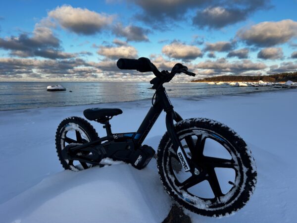 STACYC 16eDRIVE BRUSHLESS tasakaaluratas STACYC 16eDRIVE BRUSHLESS tasakaaluratas