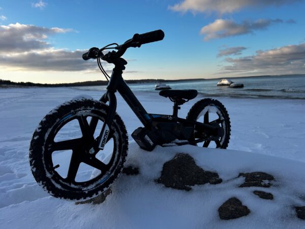 STACYC 16eDRIVE BRUSHLESS tasakaaluratas STACYC 16eDRIVE BRUSHLESS tasakaaluratas