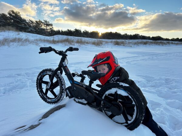 STACYC 16eDRIVE BRUSHLESS tasakaaluratas STACYC 16eDRIVE BRUSHLESS tasakaaluratas