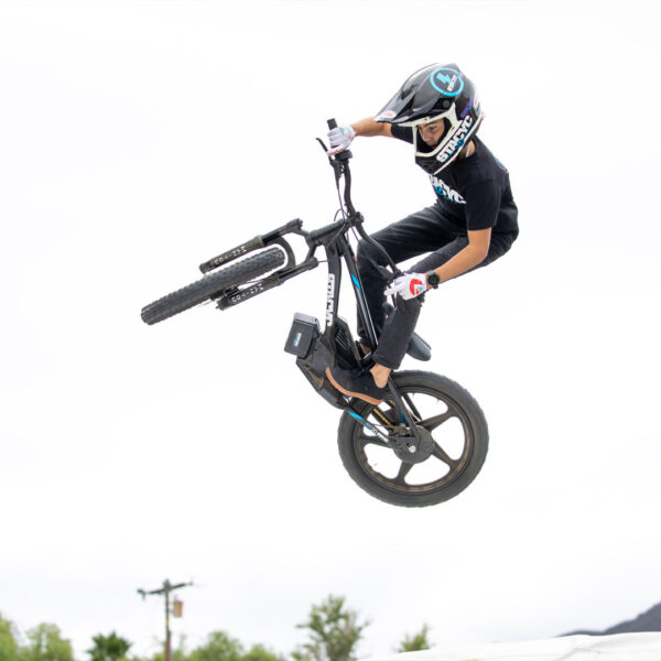 20e-Wild-2_1 STACYC 20eDRIVE tasakaaluratas