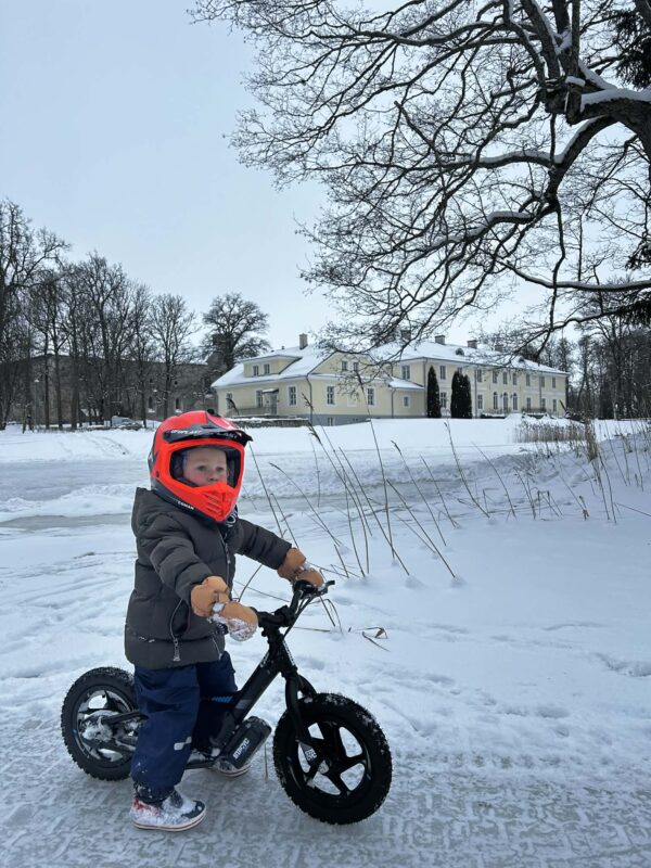 STACYC 12eDRIVE STACYC 12eDRIVE