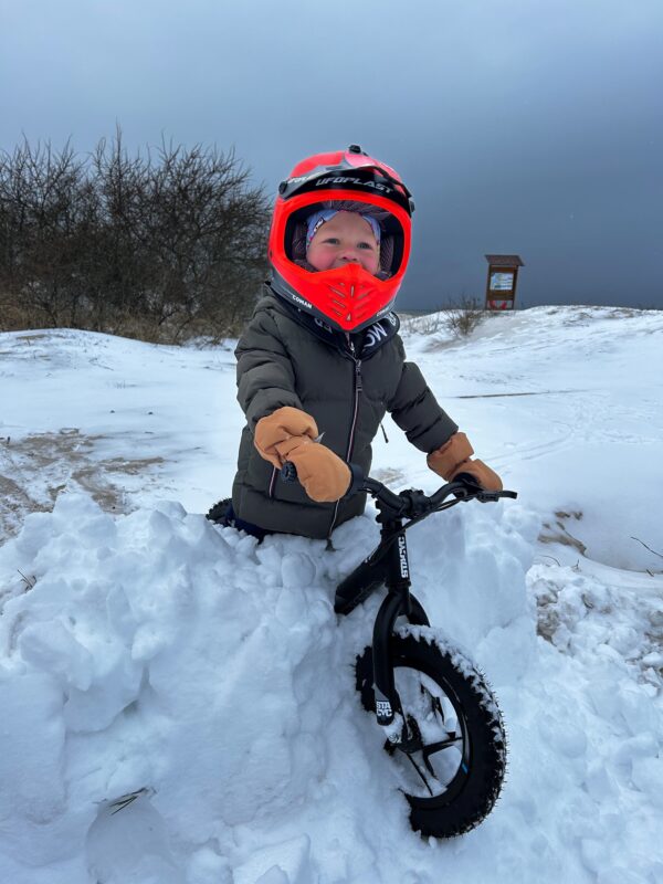 STACYC 12eDRIVE STACYC 12eDRIVE